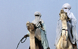 Tuareg (Imuhar) mit einem Mehari (Reitdromedar)im Akakus, Dromedare gehören zur Familie der Kamele, Sahara
