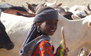 Nomadenmädchen mit Rindern, Tschad