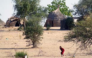 Dorf mit Hütten aus Hirsehalmen, Tschad