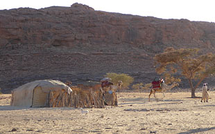 Nomadenbehausung einer Familie im Ennedi, Tschad