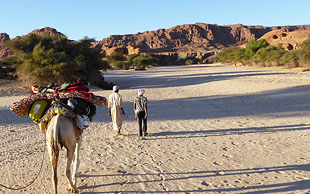 Die Méharée endet im Wadi Ouko, Ennedi, Tschad