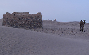 Gedenkstätte für einen Marabout in der Morgendämmerung, Grand Sud, Marokko