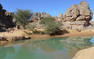  Wasserstelle mit Akazien – Regen fällt in der Sahara meist im Sommer, Tassili Immidir, Algerien