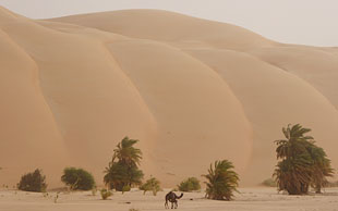 Riesen Düne bei Azoueiga, Erg Amatlich, Mauretanien