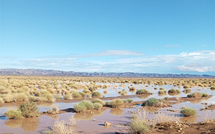Lac Iriki nach Regen, Sahara Südmarokko