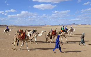 Die Karawane zieht über die Ebene von Tafassasset, Wüste Algerien