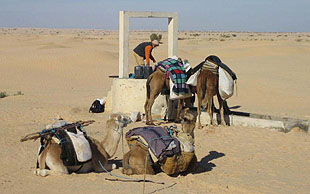 Das Wasser für Mensch und Tier wird am Ziehbrunnen aus tiefen Erdschichten hinauf gezogen, Grand Erg Oriental, Tunesien