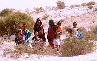 Nomaden, hier Beduinenfrauen mit ihren Kindern, Grand Erg Oriental, Tunesien