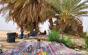 Mittagsrast unter Palmen, Weisse Wüste, Ägypten