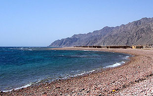Bei der langen Variante der Kameltour White Mountains führt die letzte Etappe dem Roten Meer enlang, Sinai